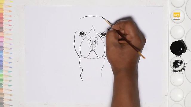 Cavalier King Charles Spaniel Face Drawing | How To Draw A Dog Head Drawing