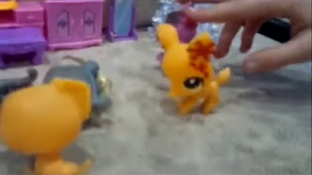 Хомяк смотреть онлайн