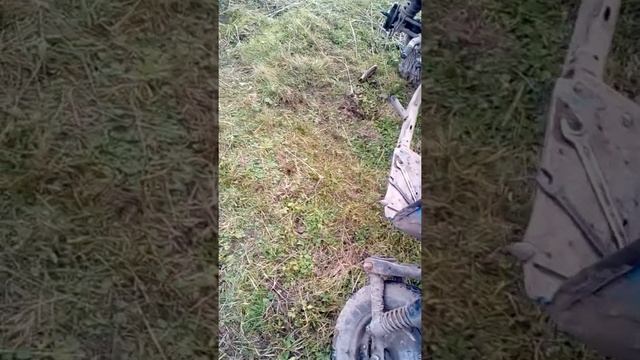 Муровей 2м смотреть онлайн