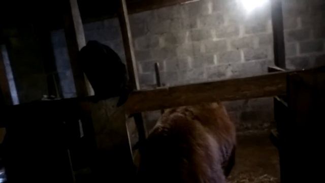 выгодный бизнес ЛПХ смотреть онлайн