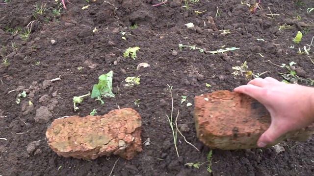 Эквинокс 600. Монета и кирпич показания VDI... смотреть онлайн