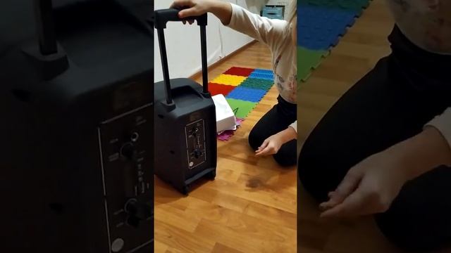 Переносная Колонка dijivolt из Рич фемили с караоке смотреть онлайн