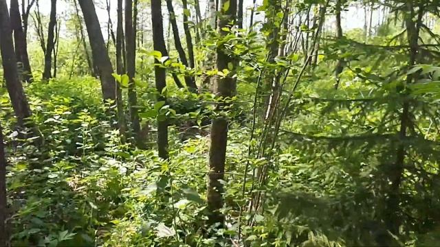 Скважина коротыш на сильно обводненный горизонт. смотреть онлайн