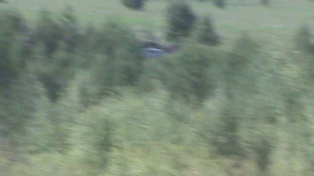 Автокросс 3 й этап