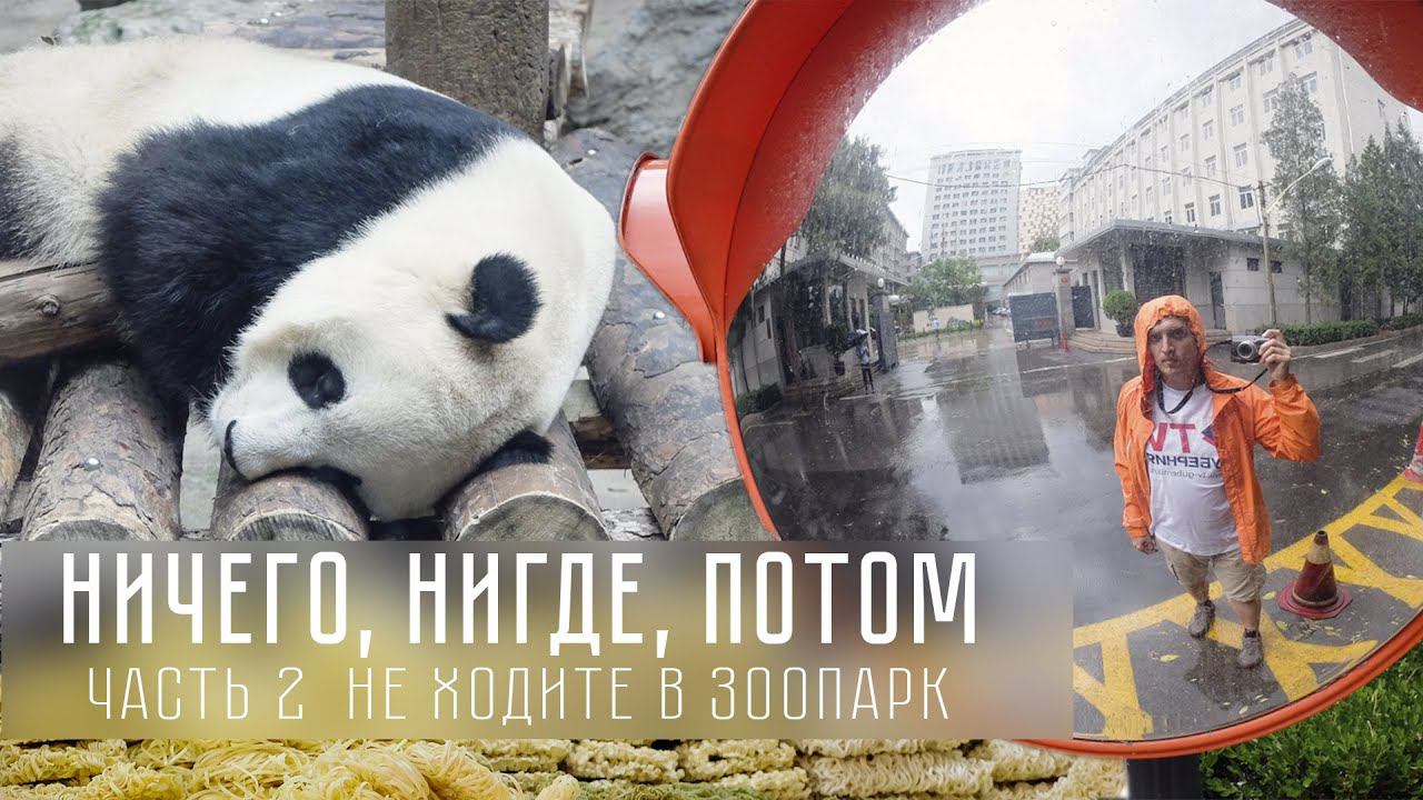 Зоопарк и бесплатные велосипеды в Пекине. "Ничего, Нигде, Потом". 2 серия смотреть онлайн