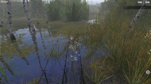 Fisher Online   фарм  серебра  на начальном этапе - аукцион