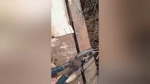 Дом из старого сруба, реально ли построить красивый дом? часть 1/Бюджетный дом/из чего построить до