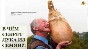ЛУК из семян - в чём секрет? / Посев разных видов лука