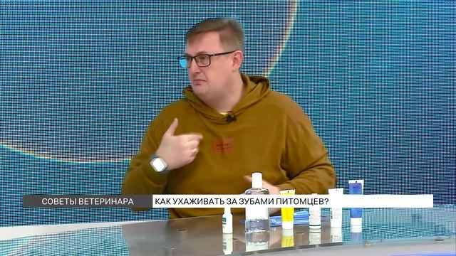 Как ухаживать за зубами питомцев? смотреть онлайн