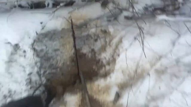 На снегоходе за дровами