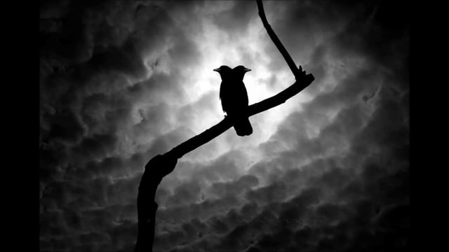 Beneath The Waves - Burn The Dead (lyric video) смотреть онлайн