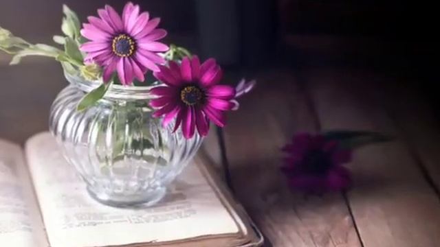 37 haftalik homila. Homiladorlikning 37-haftasi. смотреть онлайн