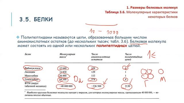 Биология онлайн сабак 3-кун (1-часть) смотреть онлайн