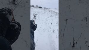 Самодельный бугельный подъёмник. Катаемся на ватрушках.