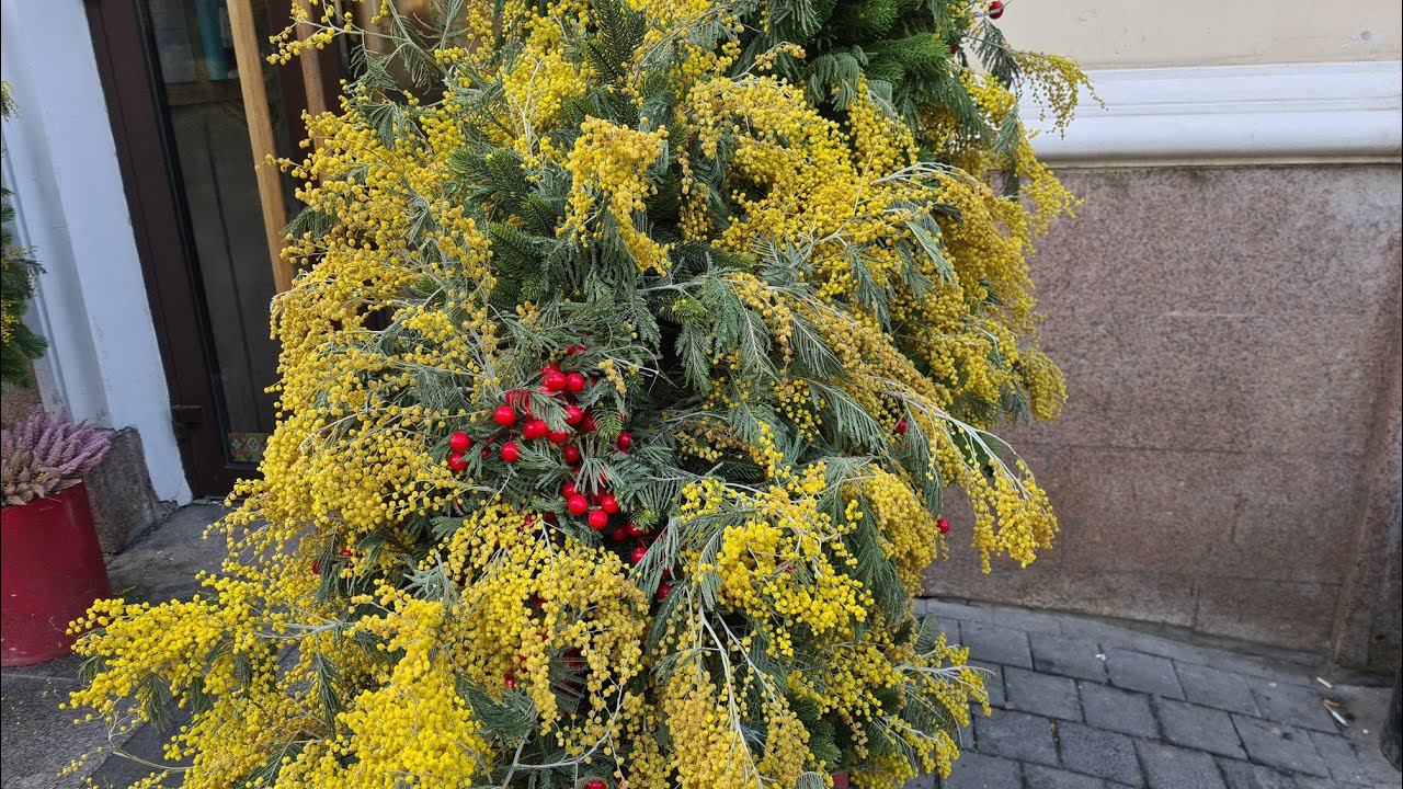 Санкт-Петербург. 8 марта смотреть онлайн