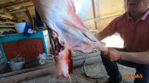 Супер Разделка барана  по Керейский из Китая !!!