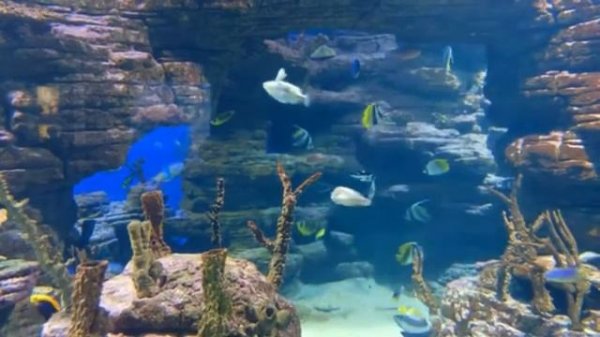 Красота океана