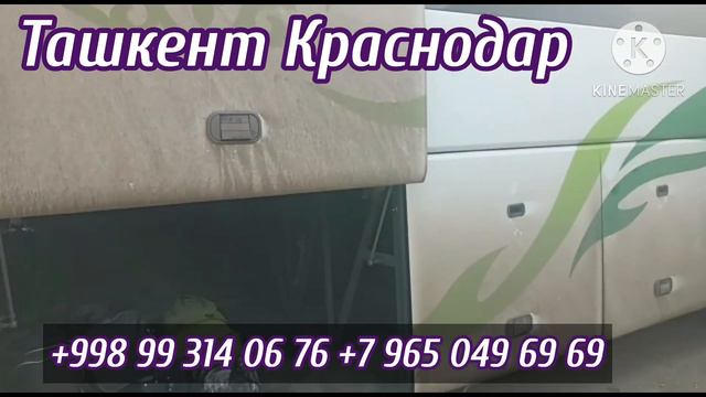 Ташкент Краснодар автобус,Краснодар Ташкент автобус смотреть онлайн