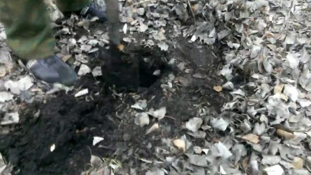 Схрон в лесу смотреть онлайн
