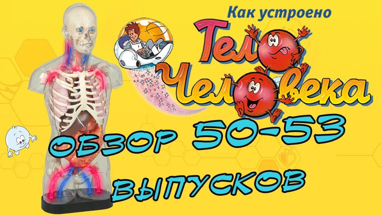 Как устроено тело человека | Deagostini | 50-53 выпуски смотреть онлайн
