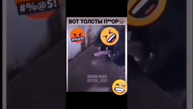 Собака прилипла языком к железу. #shorts смотреть онлайн