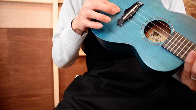 OUTLET/Enya Ukulele EUC-25D BL@guitarshoptantan