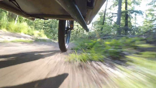 "out of the green" Big Hovawart Dog sitting in a cargo bike while going downhill. смотреть онлайн