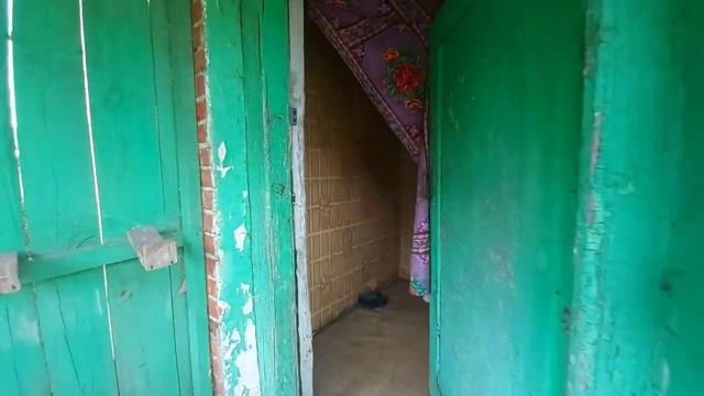 Дом 58,5 м² на участке 50 сот.;Липецкая обл., Елецкий р-н, д. Урывки, Озёрная ул., 28; 550т.руб. смотреть онлайн