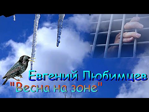 Евгений Любимцев ?? Весна на зоне смотреть онлайн