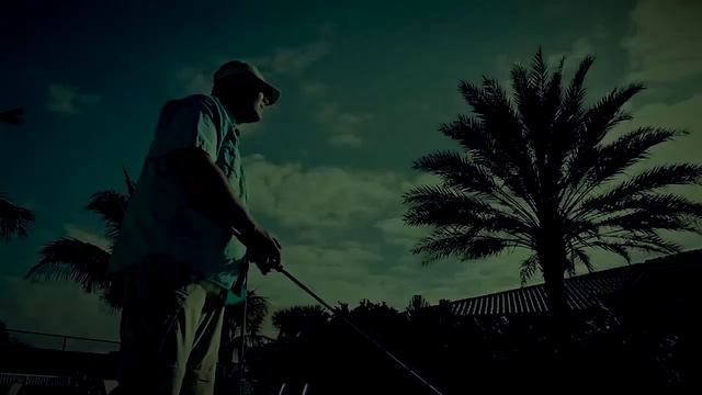 Sebile Bonga Minnow Lure смотреть онлайн