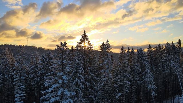 Winter Wonderland 4K｜Visual Journey To Escape Daily Life ｜Nature's Harmony
