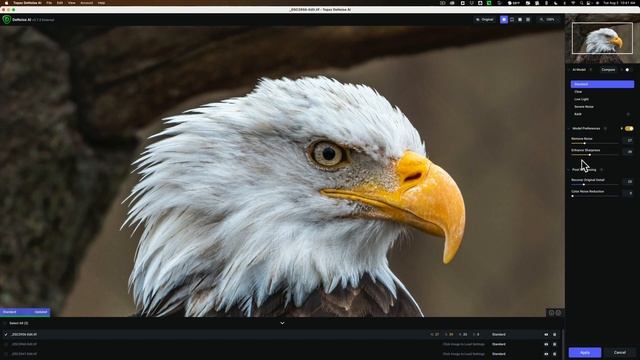 How To BULK EDIT With Topaz Labs Plugins – Denoise AI Sharpen AI & Gigapixel AI смотреть онлайн
