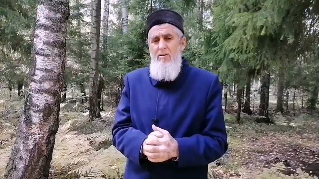 Мәңгелек Җәннәт өчен тырышырга кирәк. Зөфәр хәзрәт Тахавиев смотреть онлайн