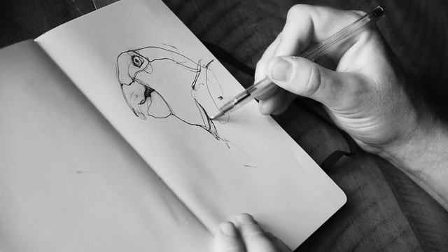10 TIPS FOR DRAWING ANIMALS смотреть онлайн