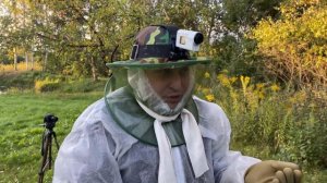 ✅ АТАКА ШЕРШНЕЙ | УНИЧТОЖИЛ ОГРОМНОЕ ГНЕЗДО ШЕРШНЕЙ НА ДАЧЕ СВОИМИ РУКАМИ | ЧЕМ ОПАСНЫ ШЕРШНИ