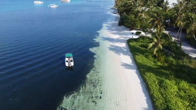 FLYING OVER MALDIVES 4K Vilamendhoo Resort Dhangethi Island Zazz Escapes RELAX MUSIC V720P