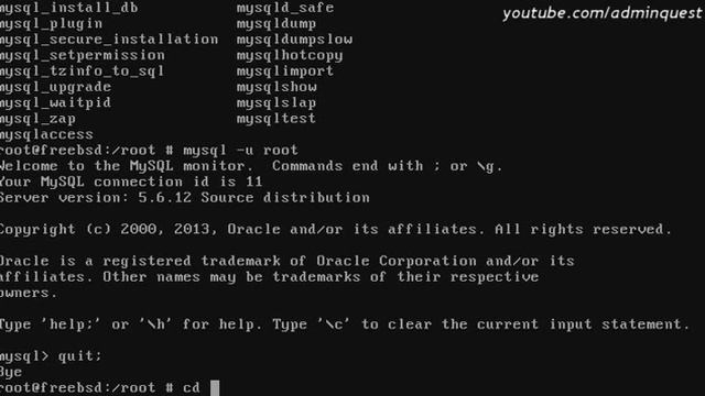 Веб-сервер на FreeBSD ч.3 MySQL + phpMyAdmin / FreeBSD web-server MySQL + phpMyAdmin (p.3) смотреть онлайн