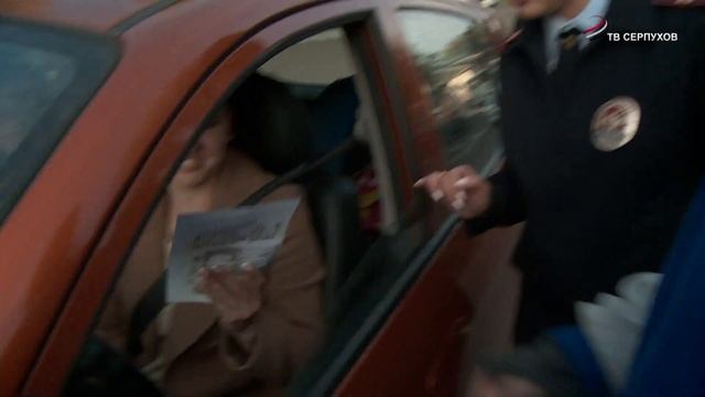 Сотрудники ГИБДД вместе с активистами «Молодой гвардии» провели акцию «Пешеход-Пешеходный переход» смотреть онлайн