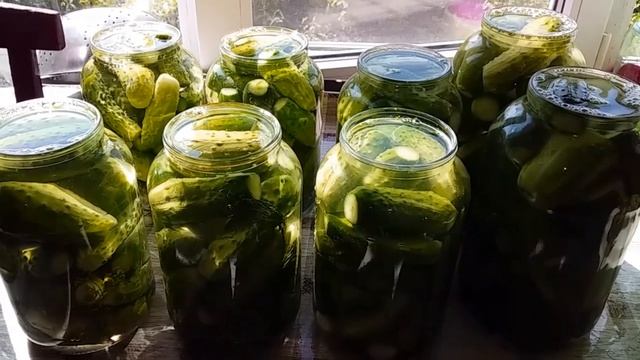 СОЛЕНЫЕ ОГУРЦЫ ХРУСТЯЩИЕ КАК БОЧКОВЫЕ / ОЧЕНЬ ВКУСНЫЕ ! смотреть онлайн