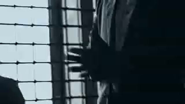 Тони раут мне она не люблю почему я знаю 😈😈😈😈 смотреть онлайн