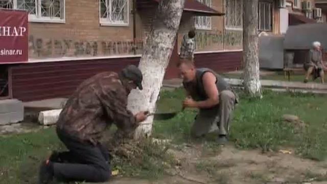 310812 - СЮЖЕТ - Падают деревья смотреть онлайн