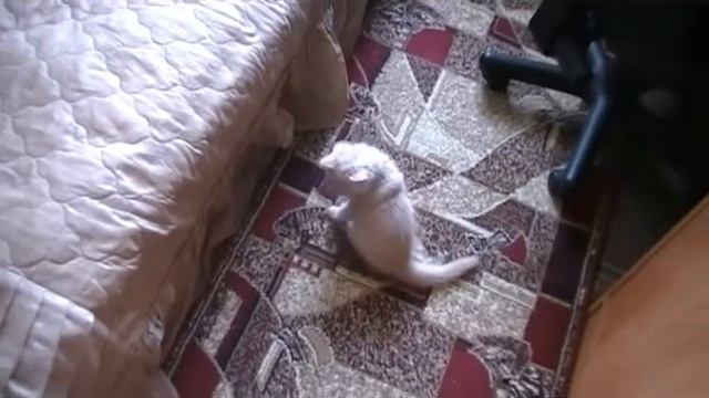 Медальен смотреть онлайн
