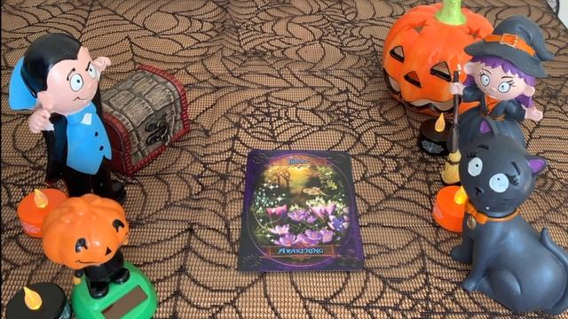 ?♀️WITCHES MESSAGE OF THE DAY!! ? Day 45 смотреть онлайн