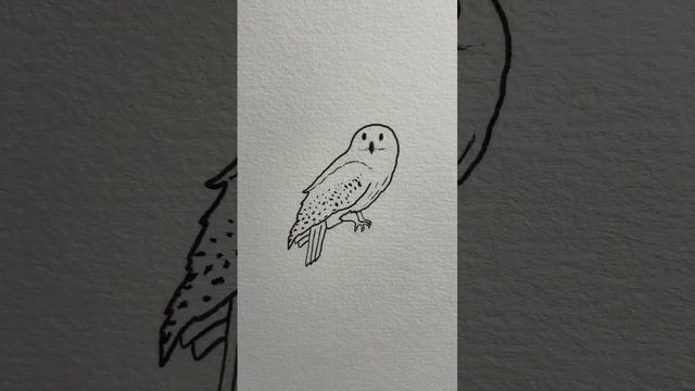 Small Tattoo Ideas: Harry Potter смотреть онлайн