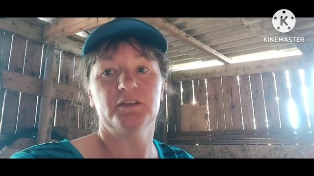 Жизнь в селе#Казахстан#Почистила ссеялку.Ласточки вьют гнездо.Уборка во дворе. смотреть онлайн