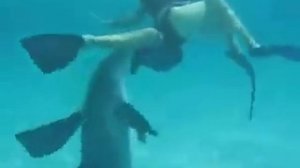 Дельфин пристаёт к Русалочке!:)))