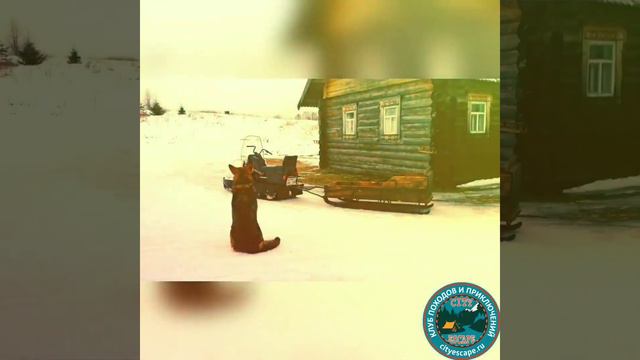 Видеоотчёт о лыжном походе по Кенозерью - турклуб City Escape смотреть онлайн