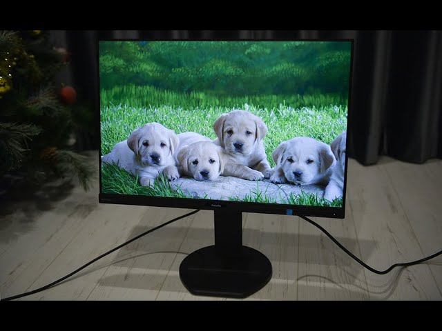 Philips 252B9 - твой новый офисный сотрудник