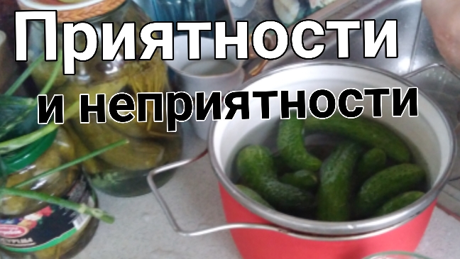 12 августа 2024. Приятности и не приятности. смотреть онлайн