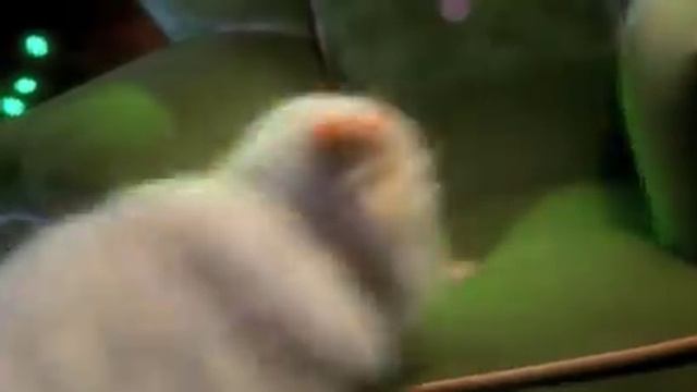 How the Grinch Stole Christmas Official Trailer #1 - Clint Howard Movie (2000) HD смотреть онлайн